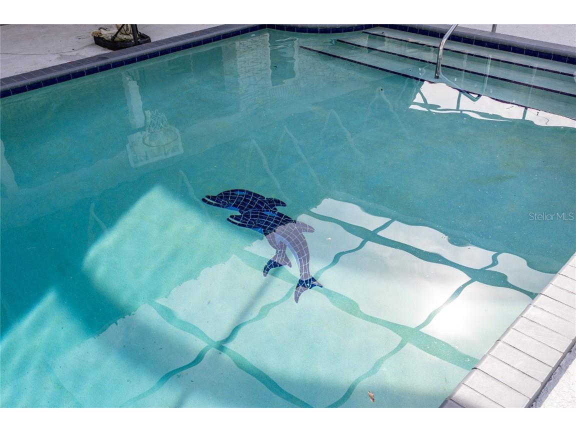 3744 E Lake Drive Land O Lakes FL 34639 - East Lake T3545969 image7