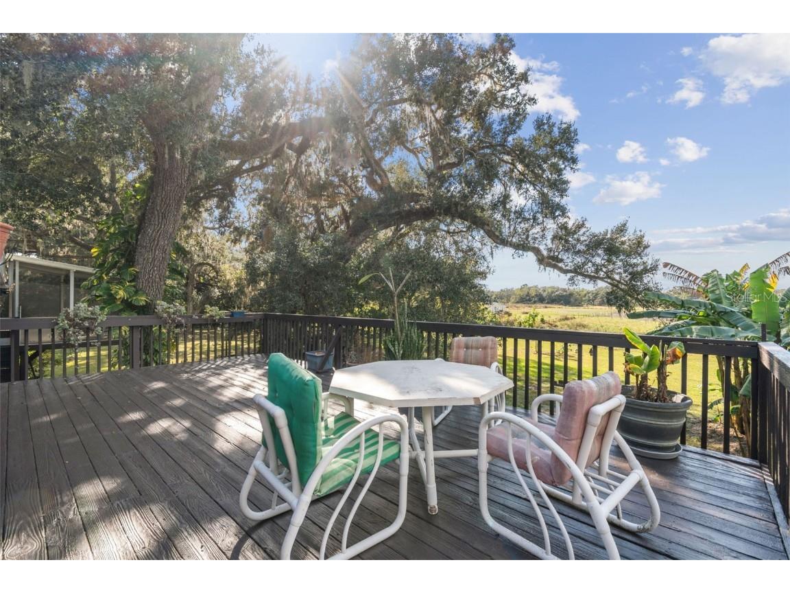 37440 Phelps Road Zephyrhills FL 33541 TB8447287 image11