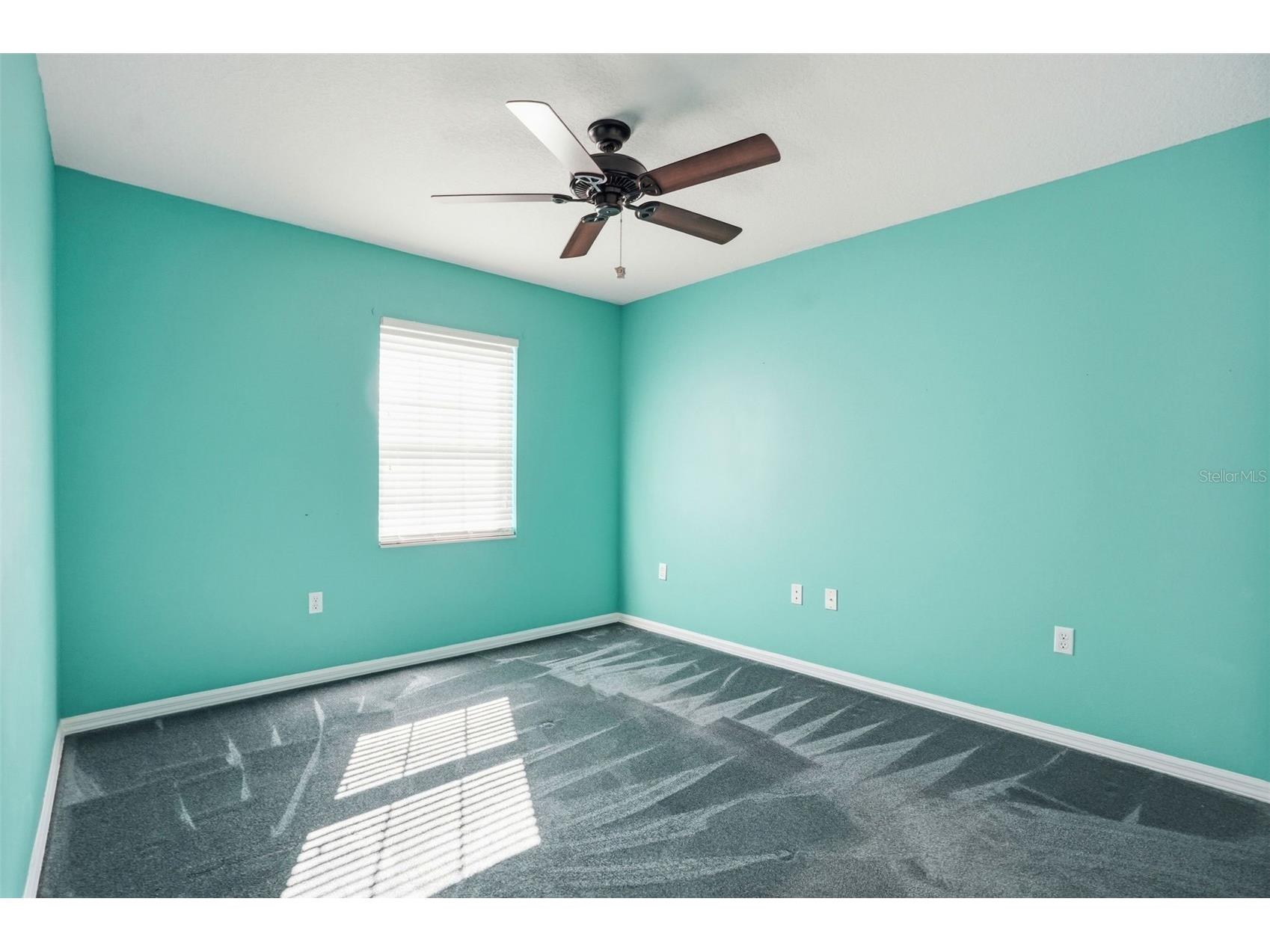 37443 Redberry Court Zephyrhills FL 33542 TB8487827 image16