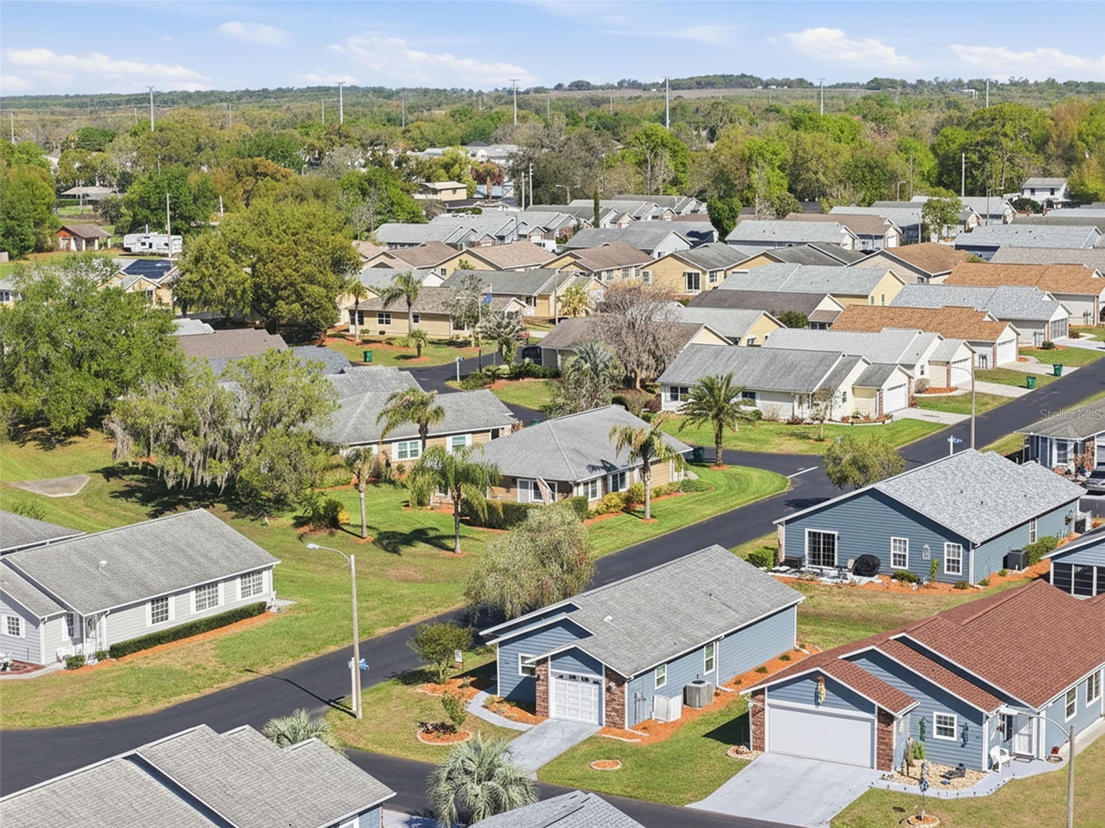 37443 Redberry Court Zephyrhills FL 33542 TB8487827 image29