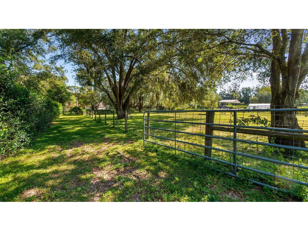 3745 Griffin View Drive Lady Lake FL 32159 G5100332 image30