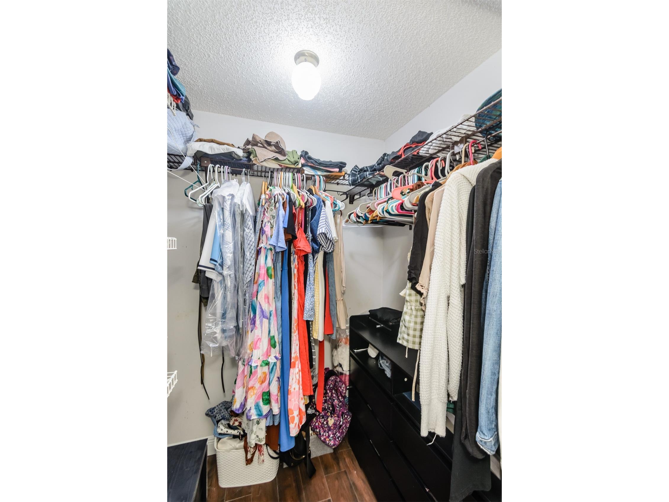3745 Thornbush Lane New Port Richey FL 34655 TB8512738 image36