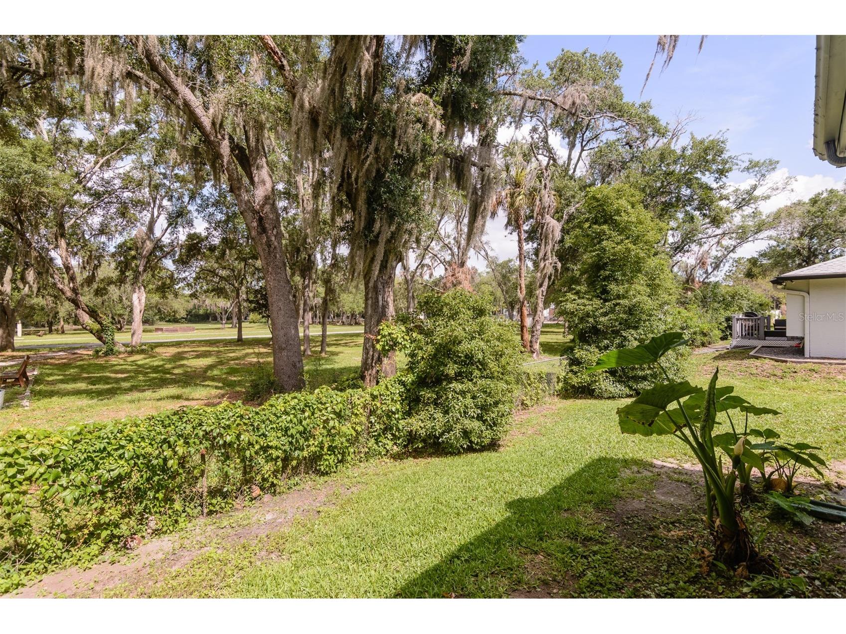 3745 Thornbush Lane New Port Richey FL 34655 TB8512738 image47