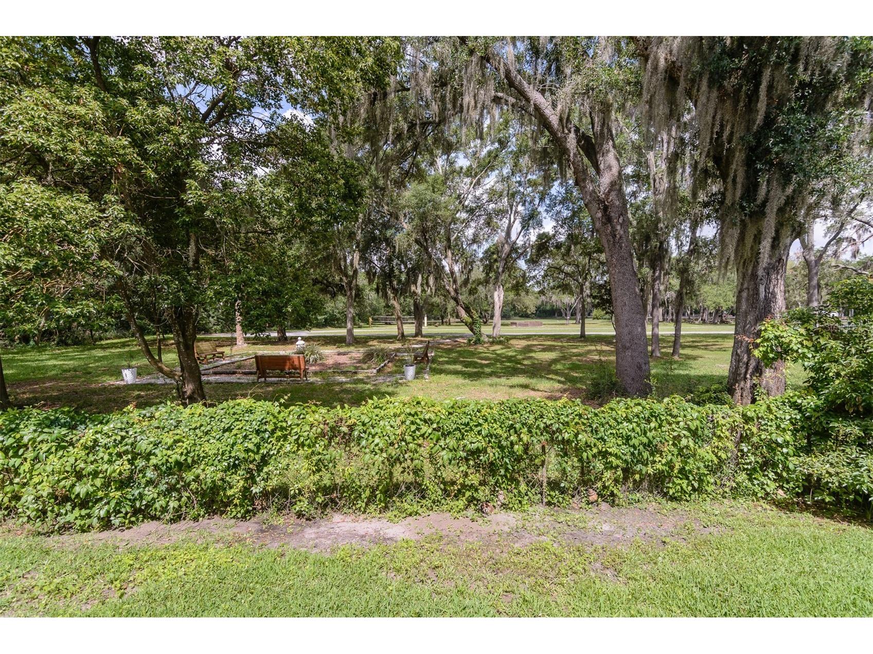 3745 Thornbush Lane New Port Richey FL 34655 TB8512738 image48