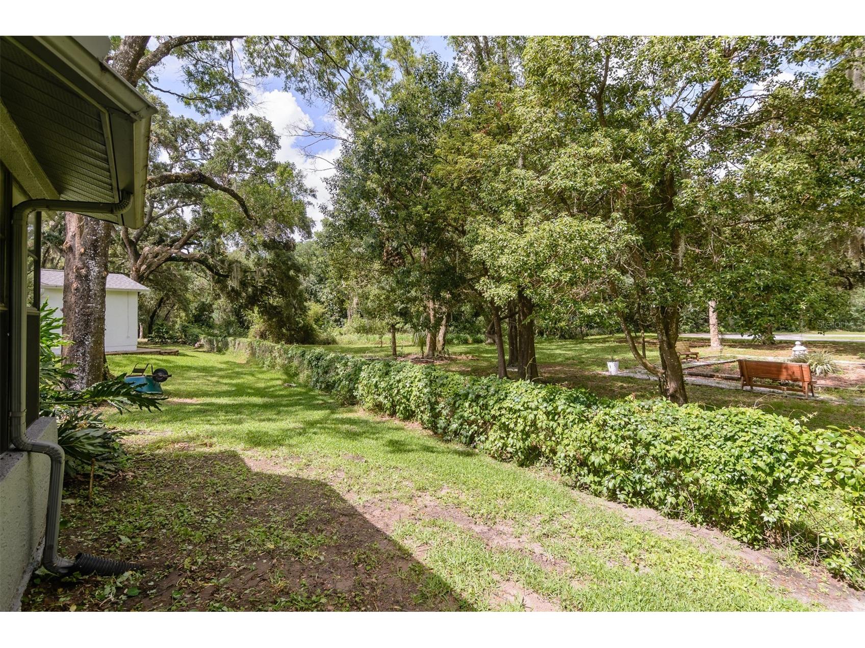3745 Thornbush Lane New Port Richey FL 34655 TB8512738 image49
