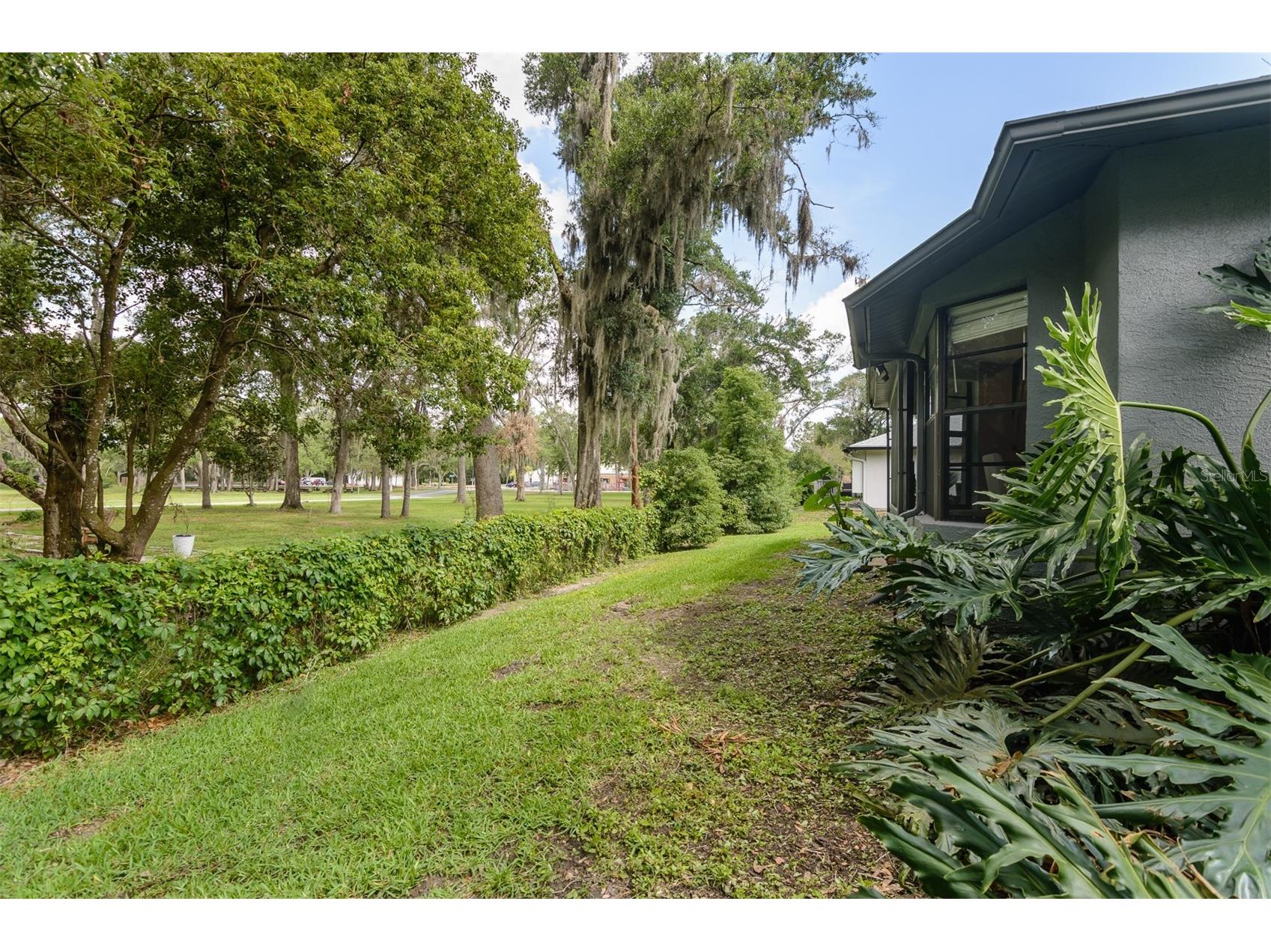 3745 Thornbush Lane New Port Richey FL 34655 TB8512738 image50