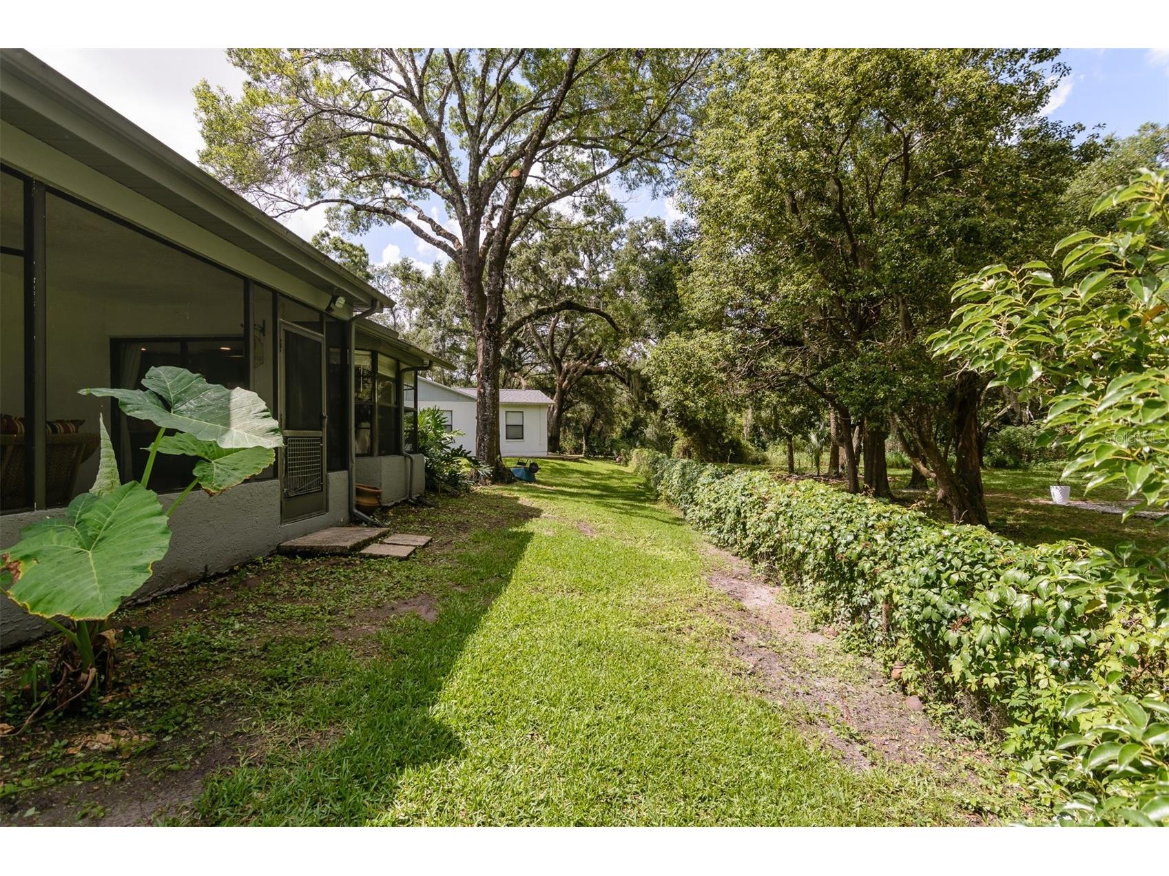 3745 Thornbush Lane New Port Richey FL 34655 TB8512738 image54