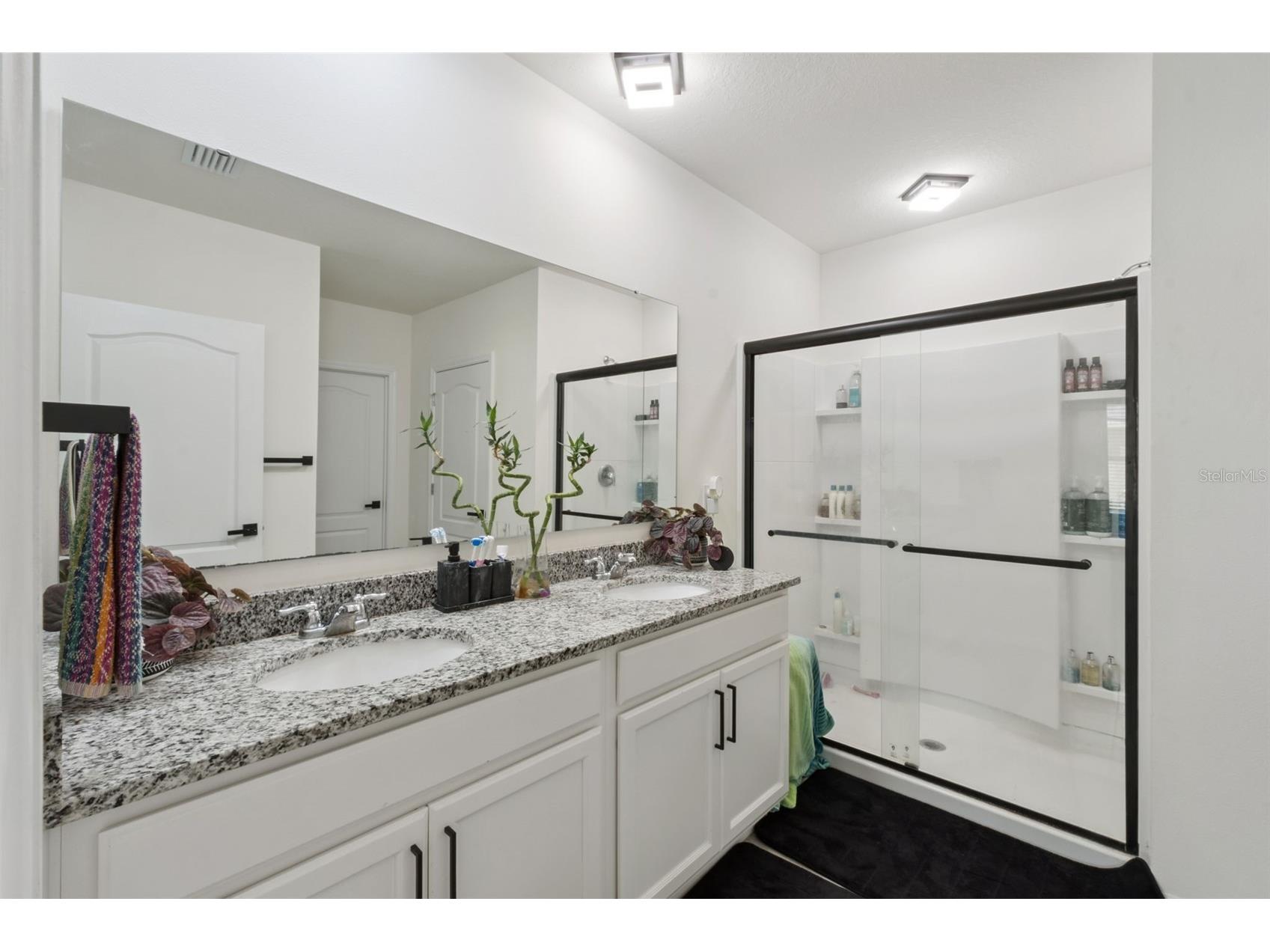 3746 Alder Bark Lane Sanford FL 32773 O6411466 image13