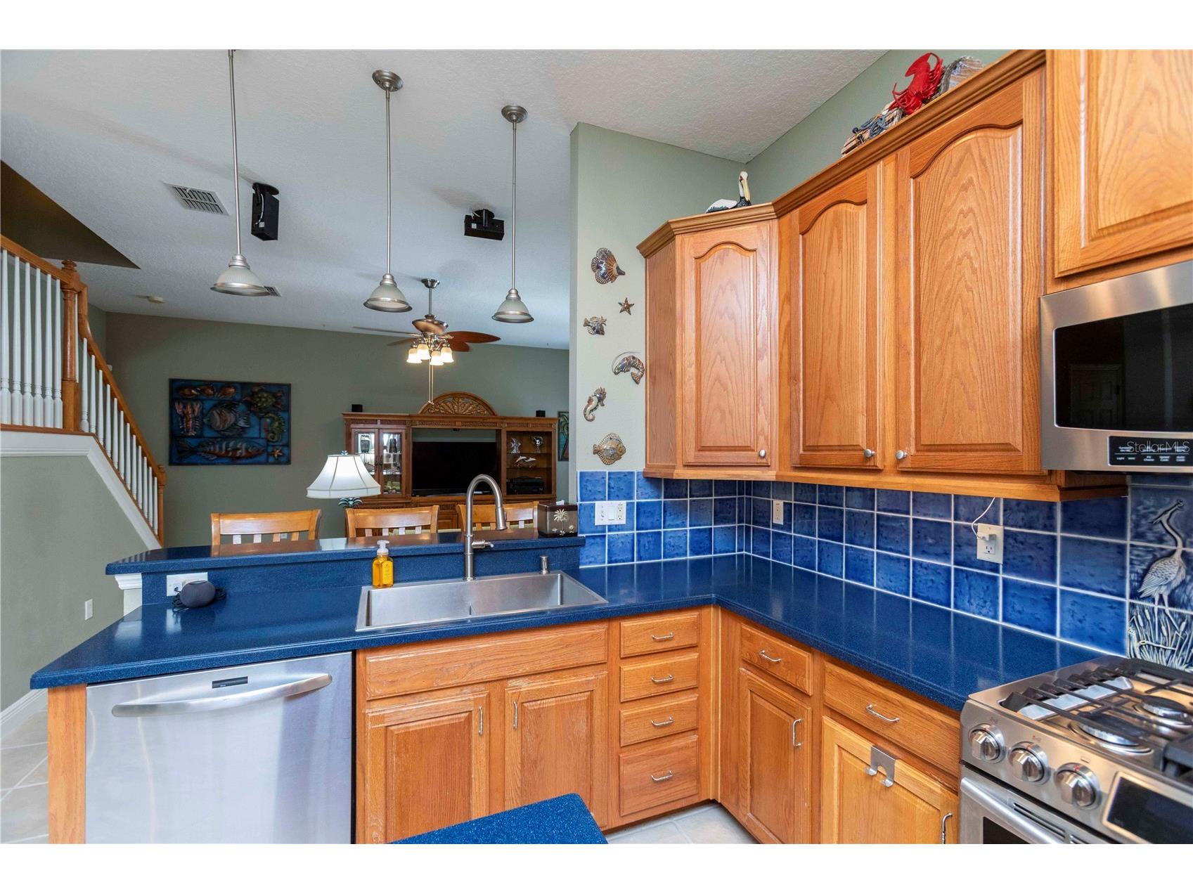 3746 Dogtrot Street New Port Richey FL 34655 W7885395 image10