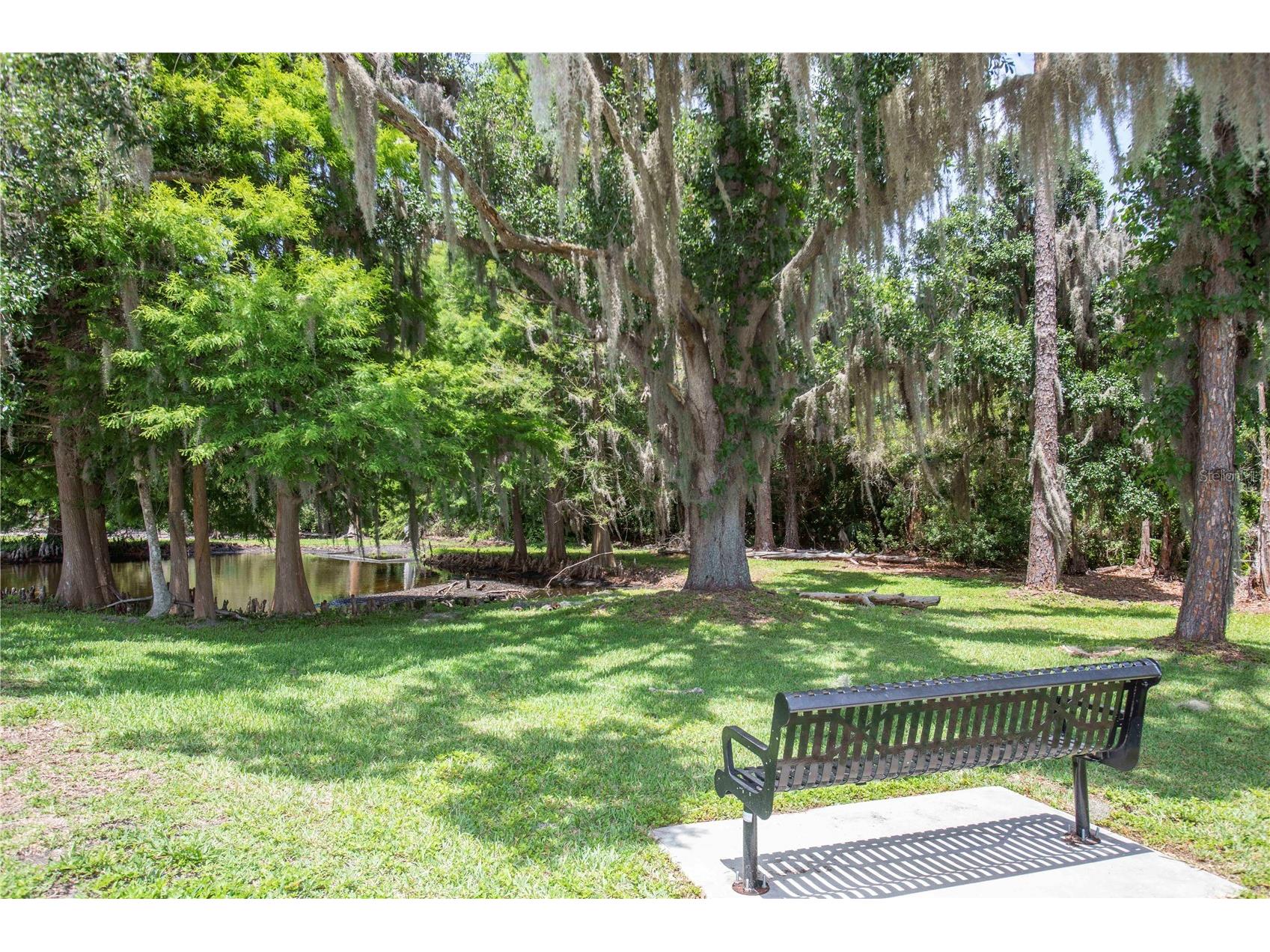 3746 Dogtrot Street New Port Richey FL 34655 W7885395 image43