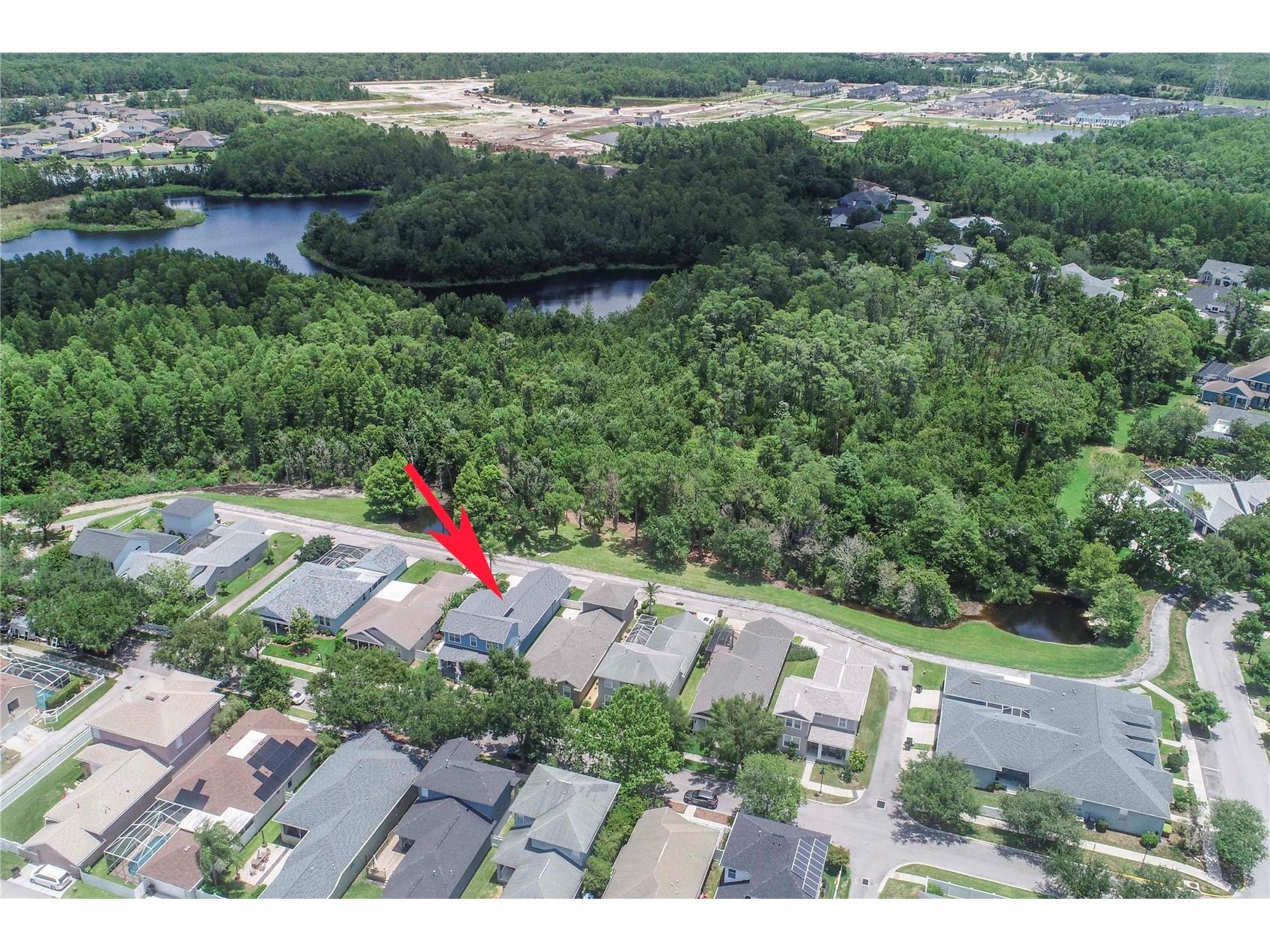 3746 Dogtrot Street New Port Richey FL 34655 W7885395 image44