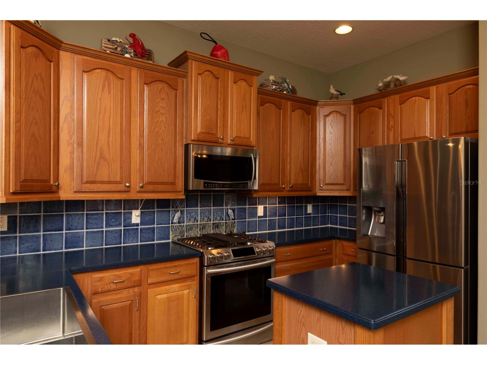 3746 Dogtrot Street New Port Richey FL 34655 W7885395 image8