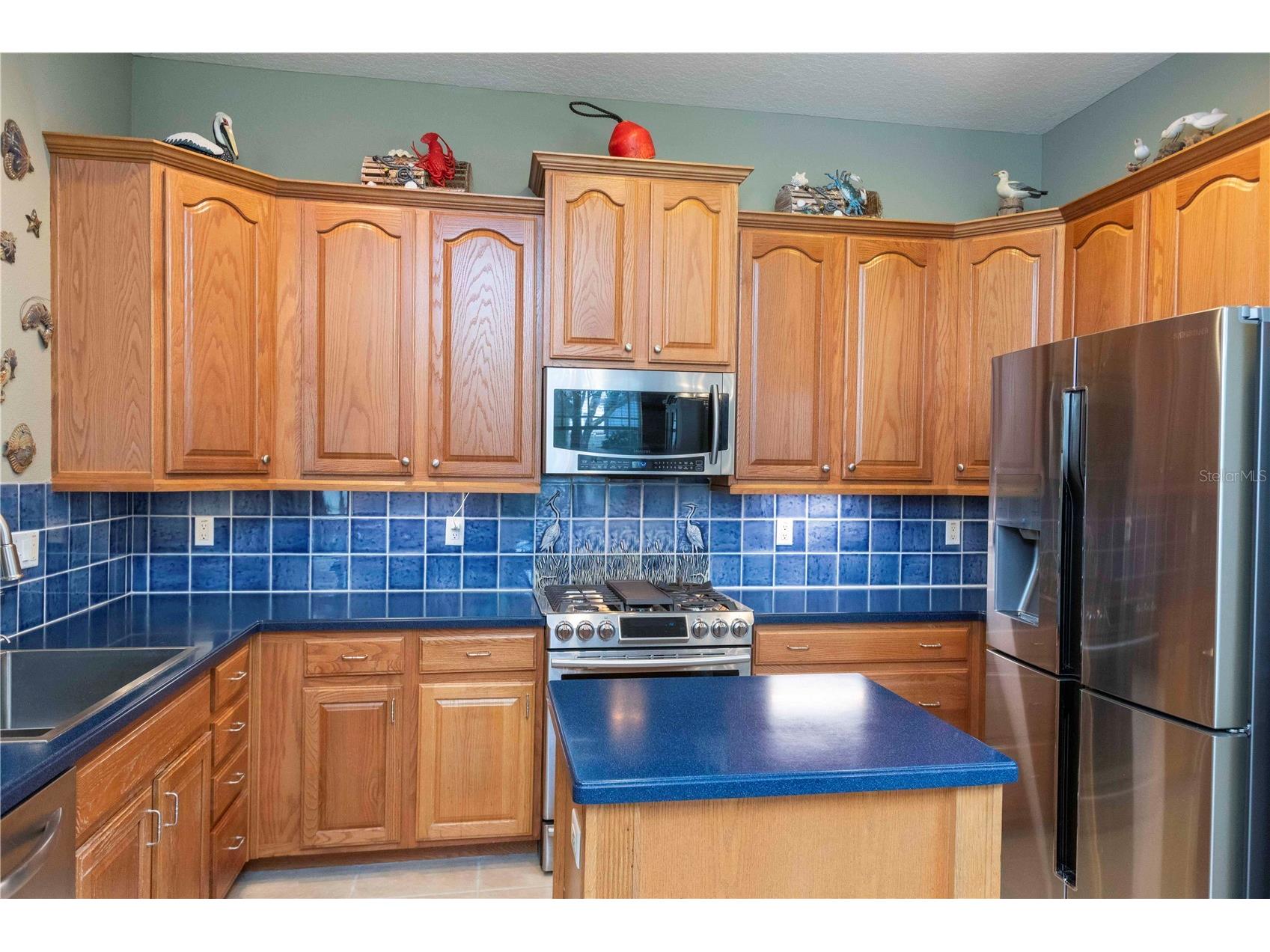 3746 Dogtrot Street New Port Richey FL 34655 W7885395 image9