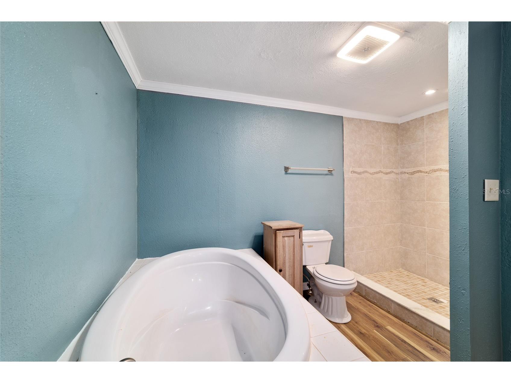 3747 SE 126th Place Belleview FL 34420 OM724462 image36
