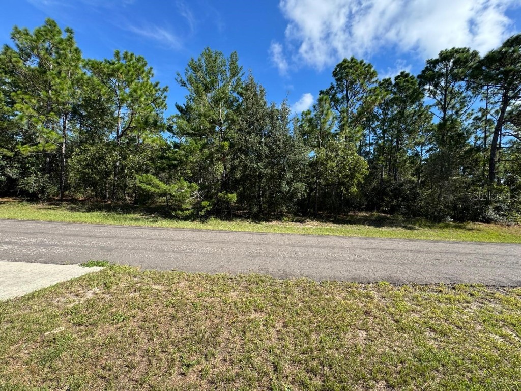 3747 W Florentine Drive Citrus Springs FL 34433 O6355345 image2