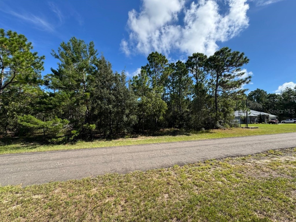 3747 W Florentine Drive Citrus Springs FL 34433 O6355345 image5