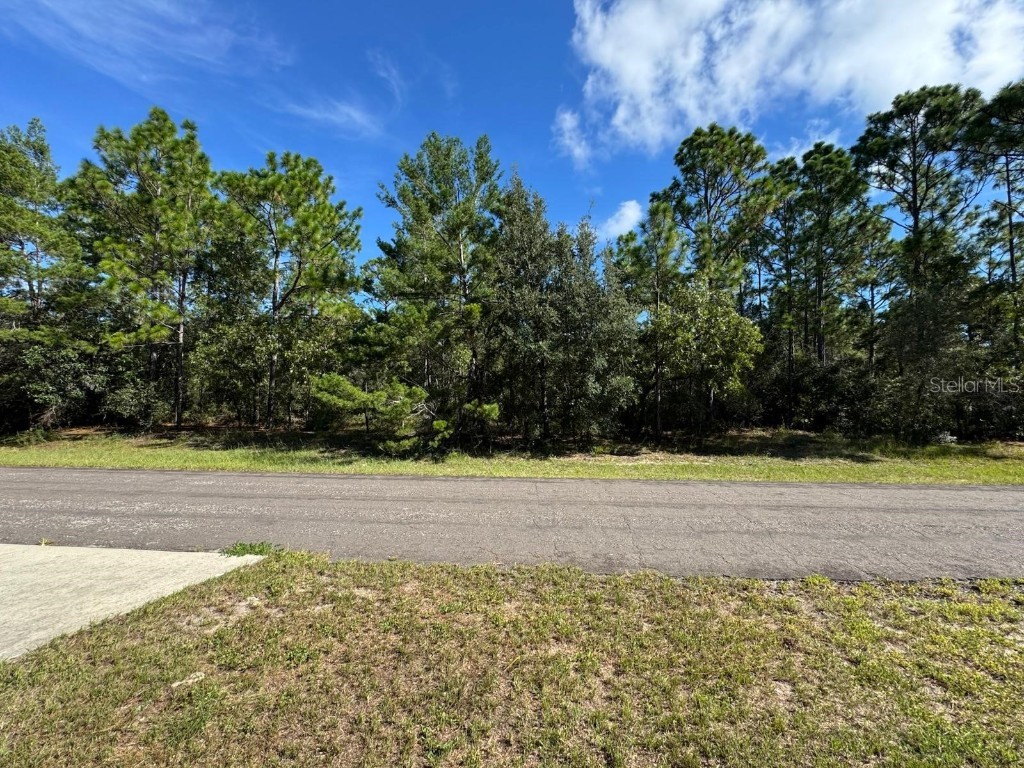 3747 W Florentine Drive Citrus Springs FL 34433 O6355345 image6