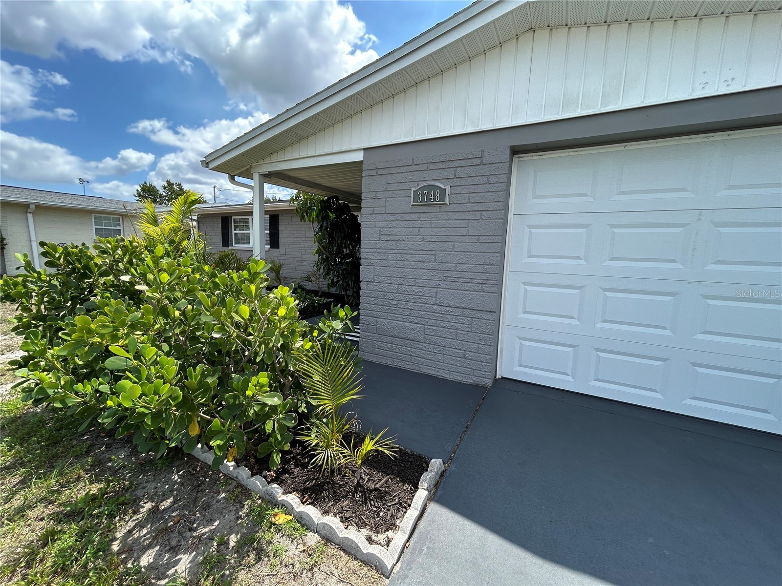 3748 Beechwood Drive Holiday FL 34691 TB8496197 image3