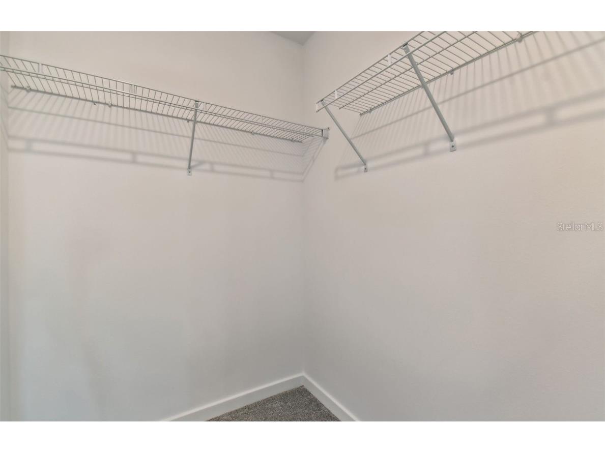 3748 Hornbeam Road Spring Hill FL 34609 TB8437905 image19