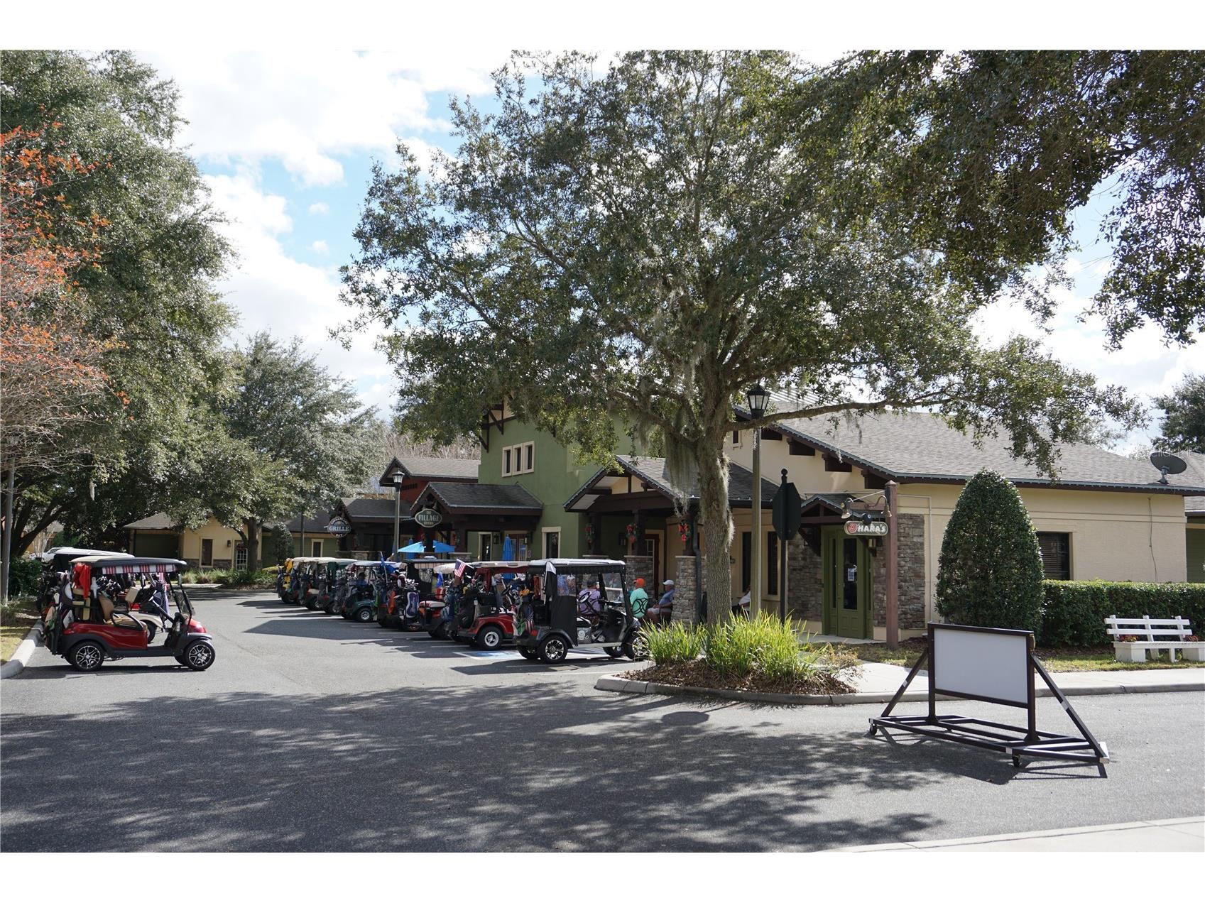 3749 Arlington Ridge Boulevard Leesburg FL 34748 G5109269 image40