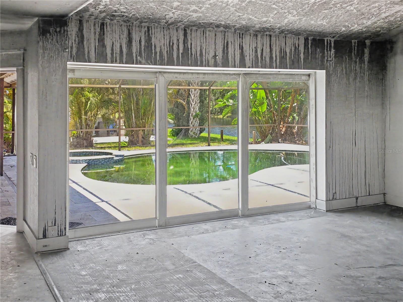 3749 Embassy Circle Palm Harbor FL 34685 TB8515844 image10