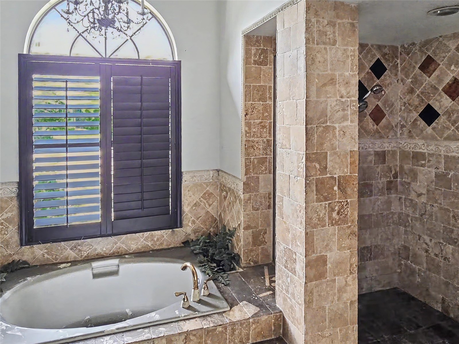 3749 Embassy Circle Palm Harbor FL 34685 TB8515844 image14