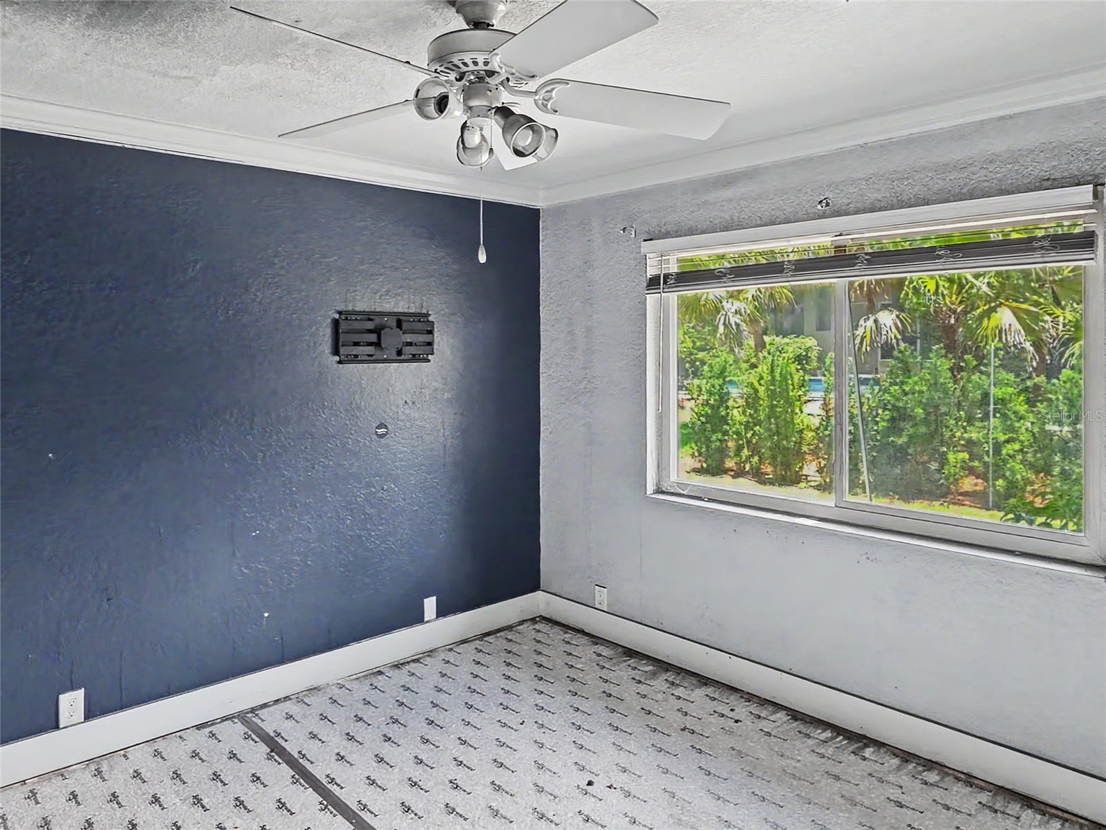 3749 Embassy Circle Palm Harbor FL 34685 TB8515844 image17
