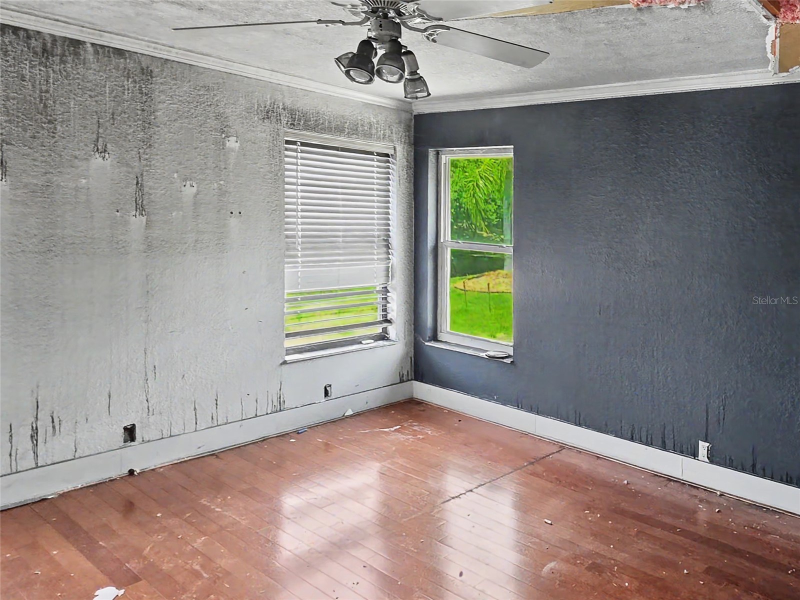 3749 Embassy Circle Palm Harbor FL 34685 TB8515844 image19