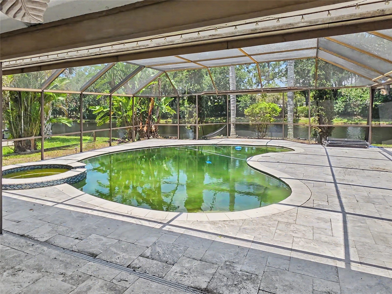 3749 Embassy Circle Palm Harbor FL 34685 TB8515844 image20