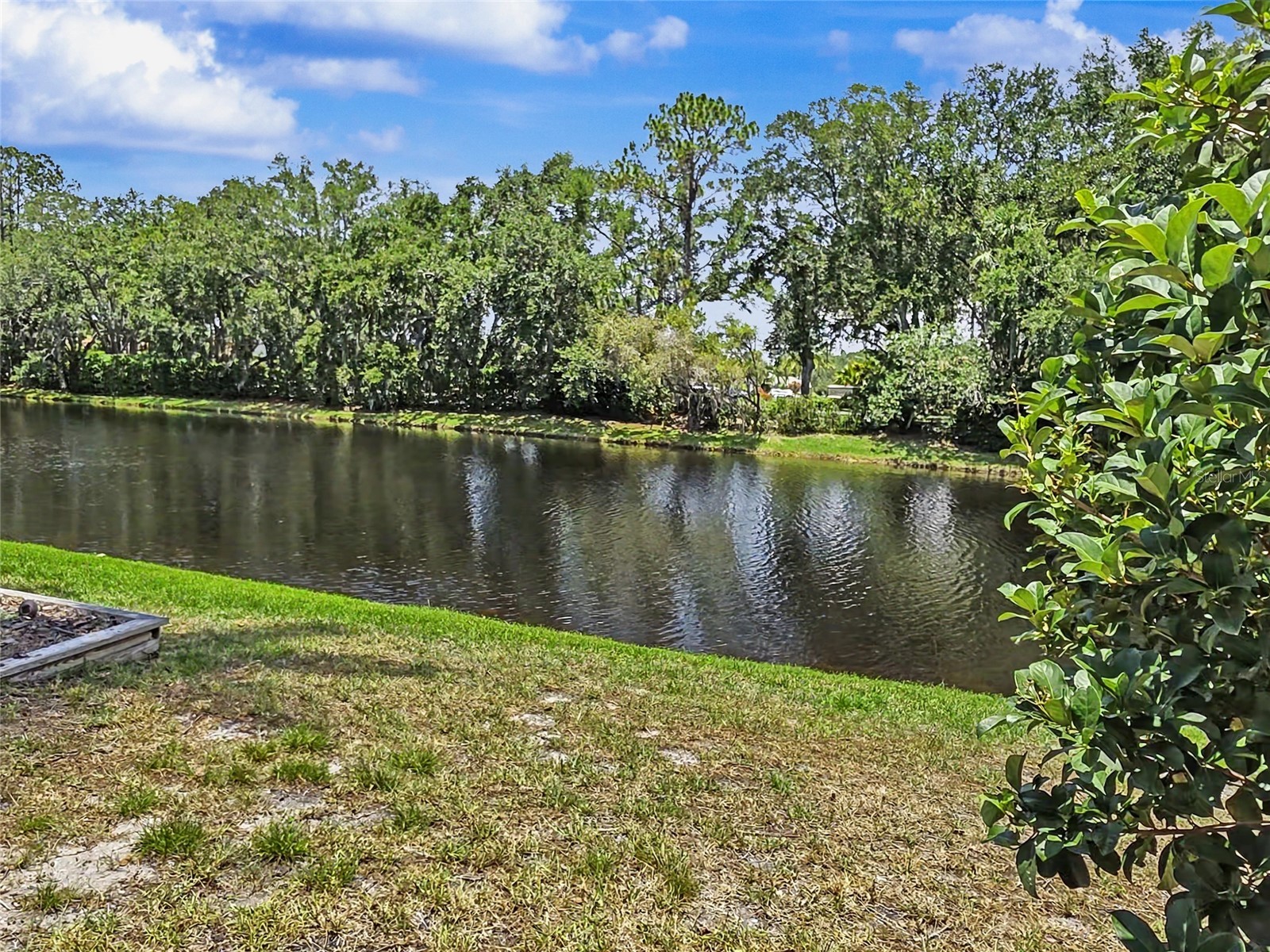3749 Embassy Circle Palm Harbor FL 34685 TB8515844 image23