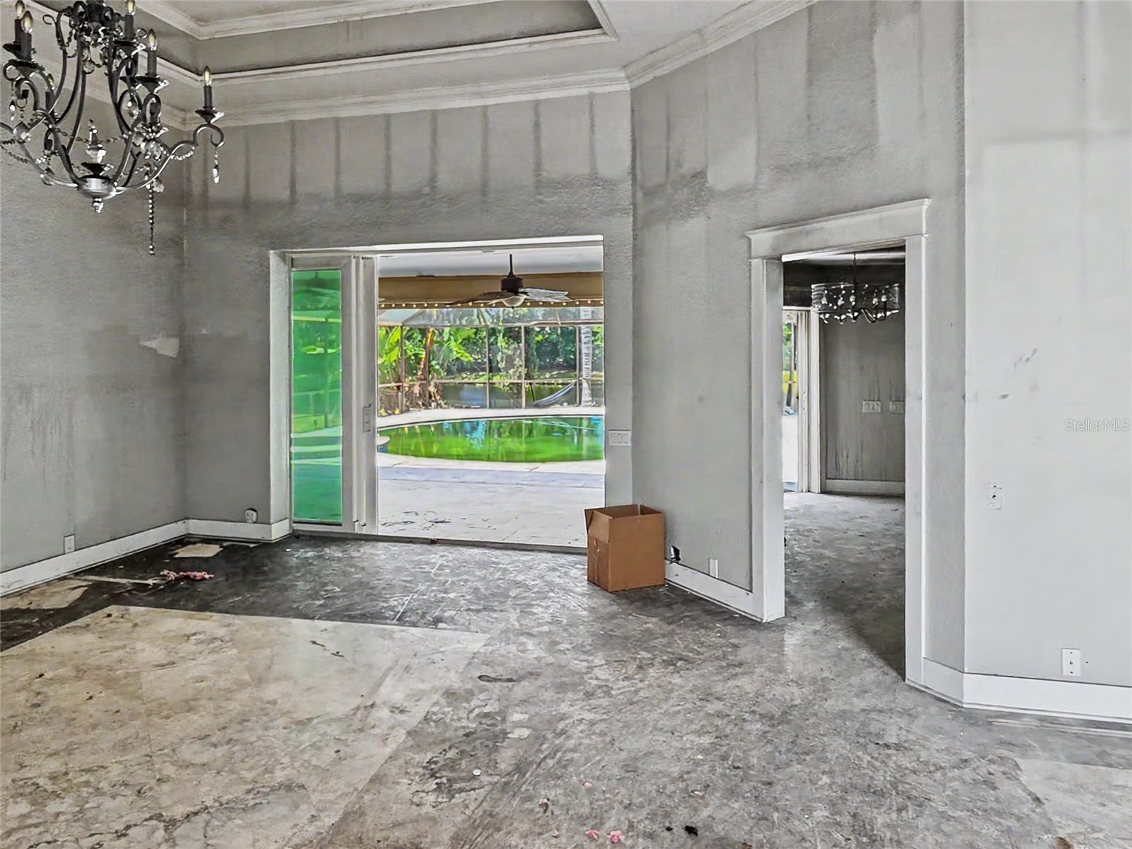 3749 Embassy Circle Palm Harbor FL 34685 TB8515844 image4