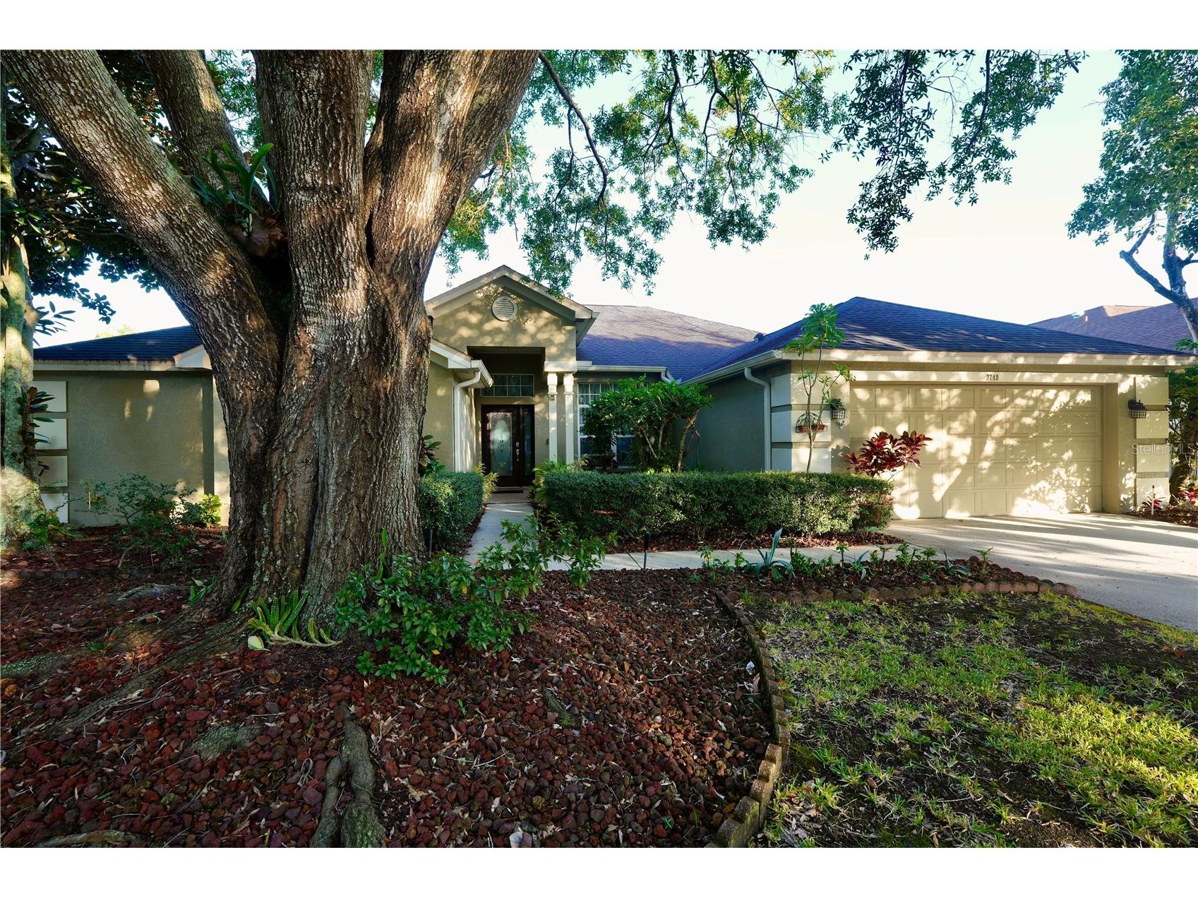 3749 Pendlebury Drive Palm Harbor FL 34685 A4667669 image1
