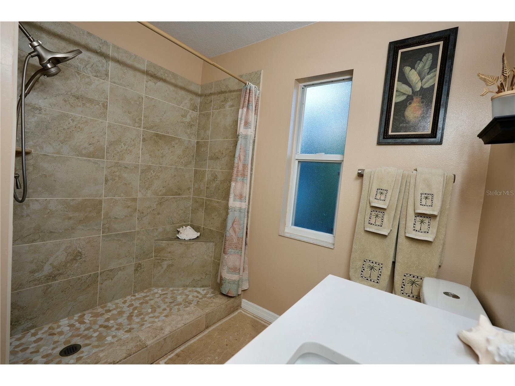 3749 Pendlebury Drive Palm Harbor FL 34685 A4667669 image38