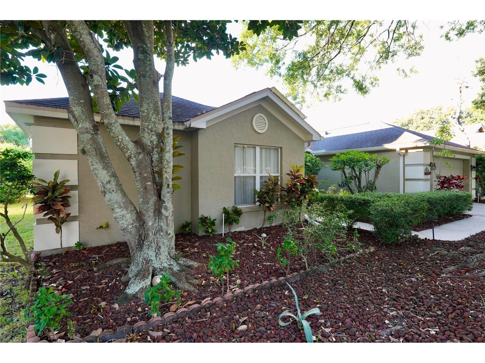 3749 Pendlebury Drive Palm Harbor FL 34685 A4667669 image5