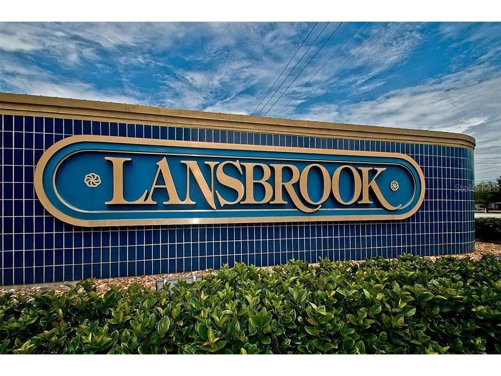 3749 Pendlebury Drive Palm Harbor FL 34685 A4667669 image53