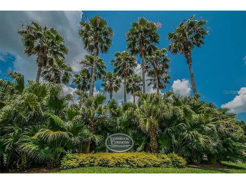 3749 Pendlebury Drive Palm Harbor FL 34685 A4667669 image58