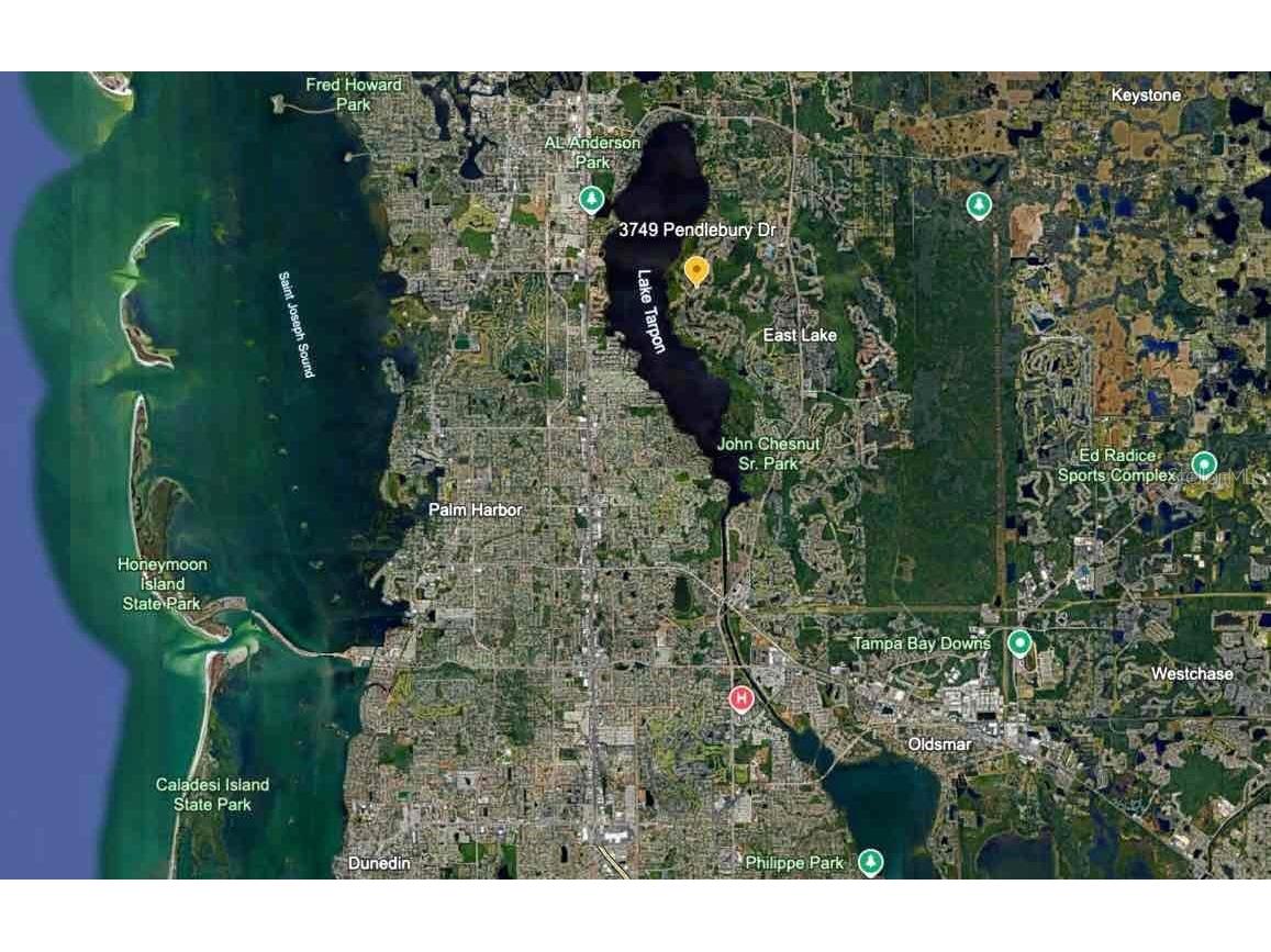 3749 Pendlebury Drive Palm Harbor FL 34685 A4667669 image7