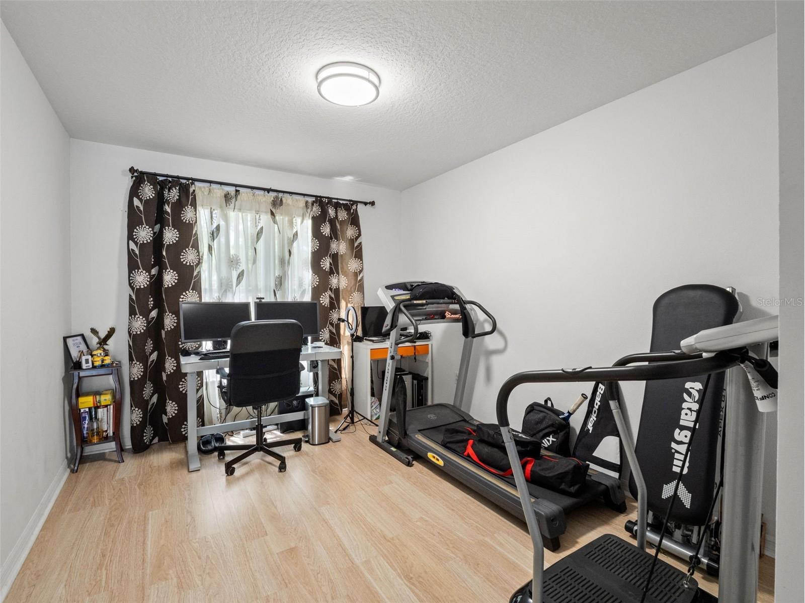 3749 Pendlebury Drive Palm Harbor FL 34685 TB8499308 image16