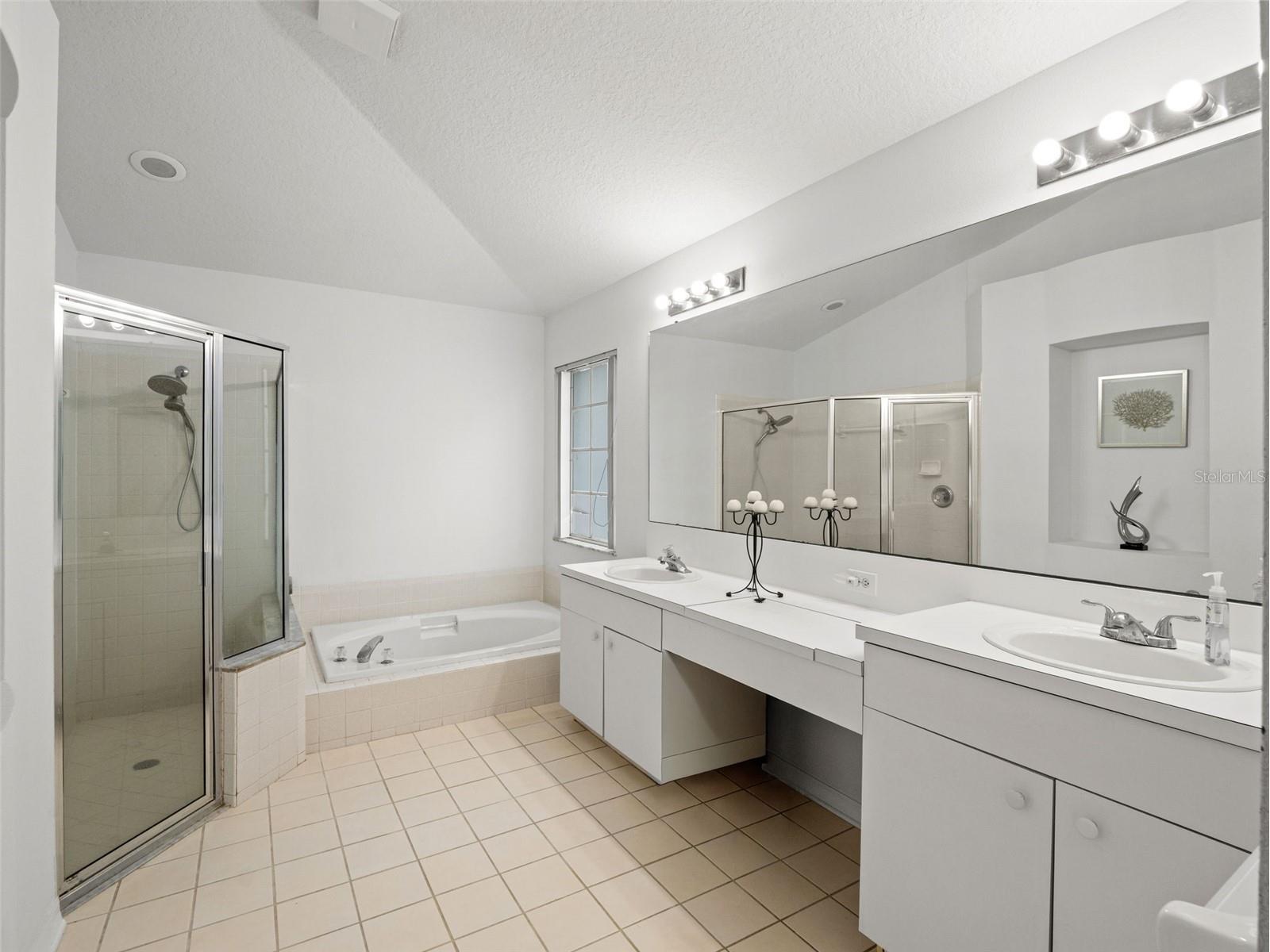 3749 Pendlebury Drive Palm Harbor FL 34685 TB8499308 image20