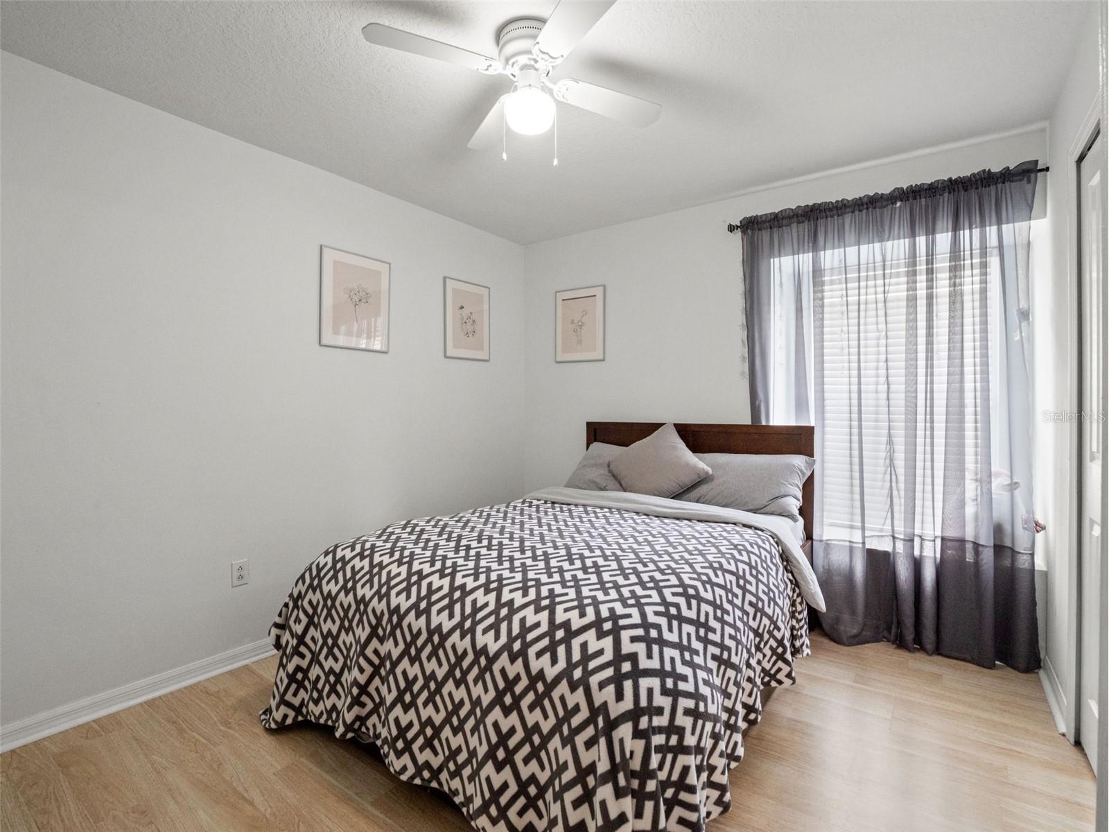 3749 Pendlebury Drive Palm Harbor FL 34685 TB8499308 image22