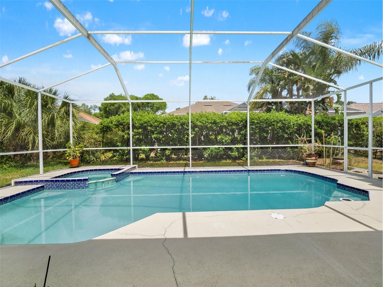 3749 Pendlebury Drive Palm Harbor FL 34685 TB8499308 image33
