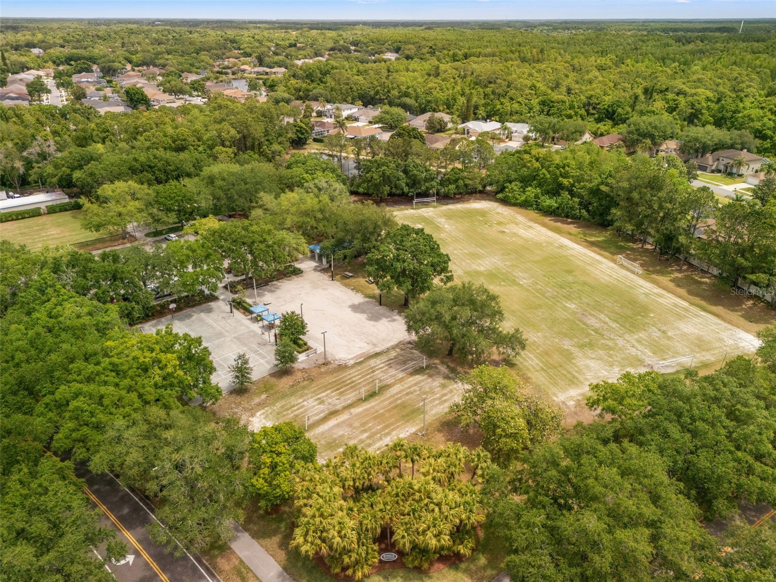 3749 Pendlebury Drive Palm Harbor FL 34685 TB8499308 image38