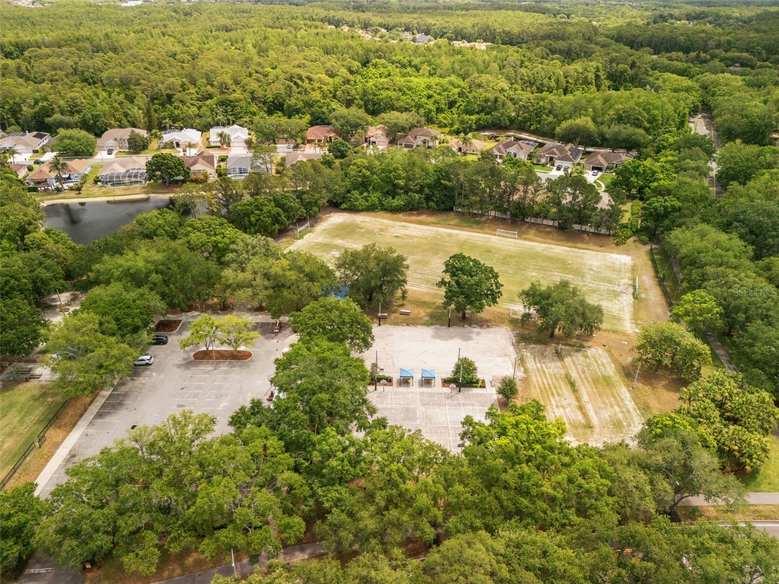 3749 Pendlebury Drive Palm Harbor FL 34685 TB8499308 image39