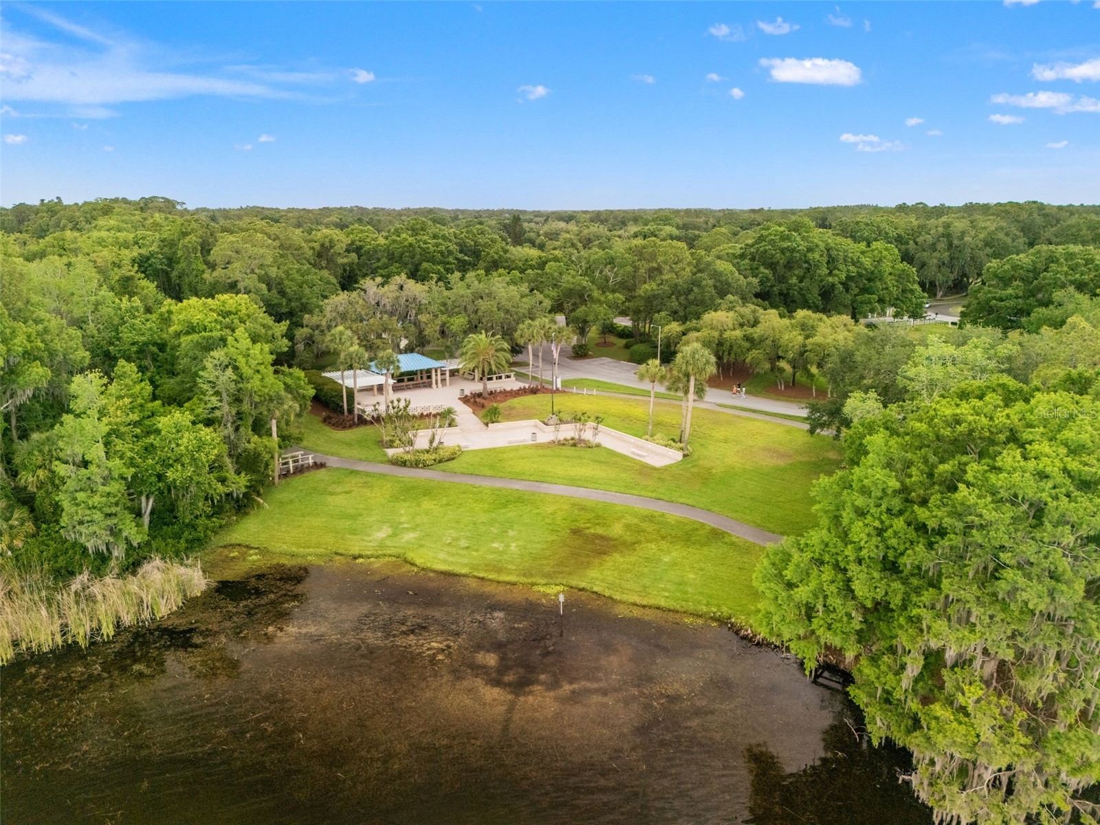 3749 Pendlebury Drive Palm Harbor FL 34685 TB8499308 image40