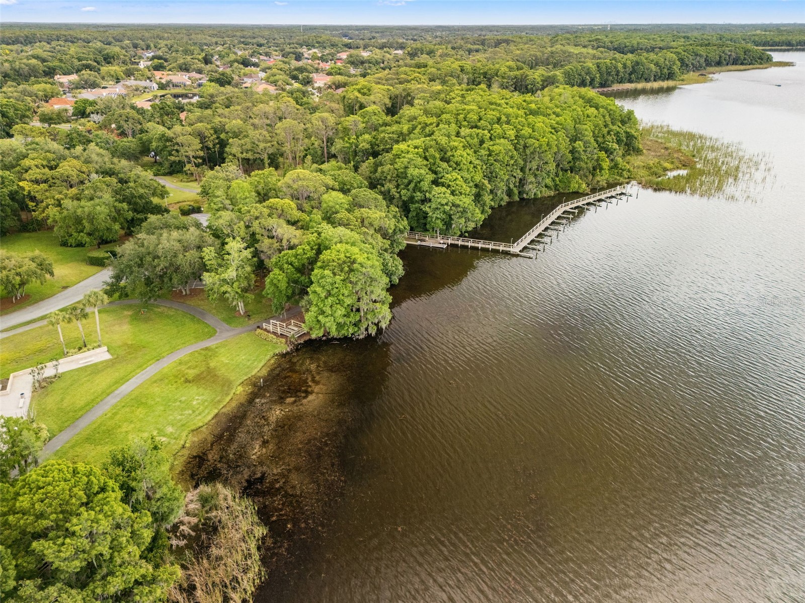 3749 Pendlebury Drive Palm Harbor FL 34685 TB8499308 image41