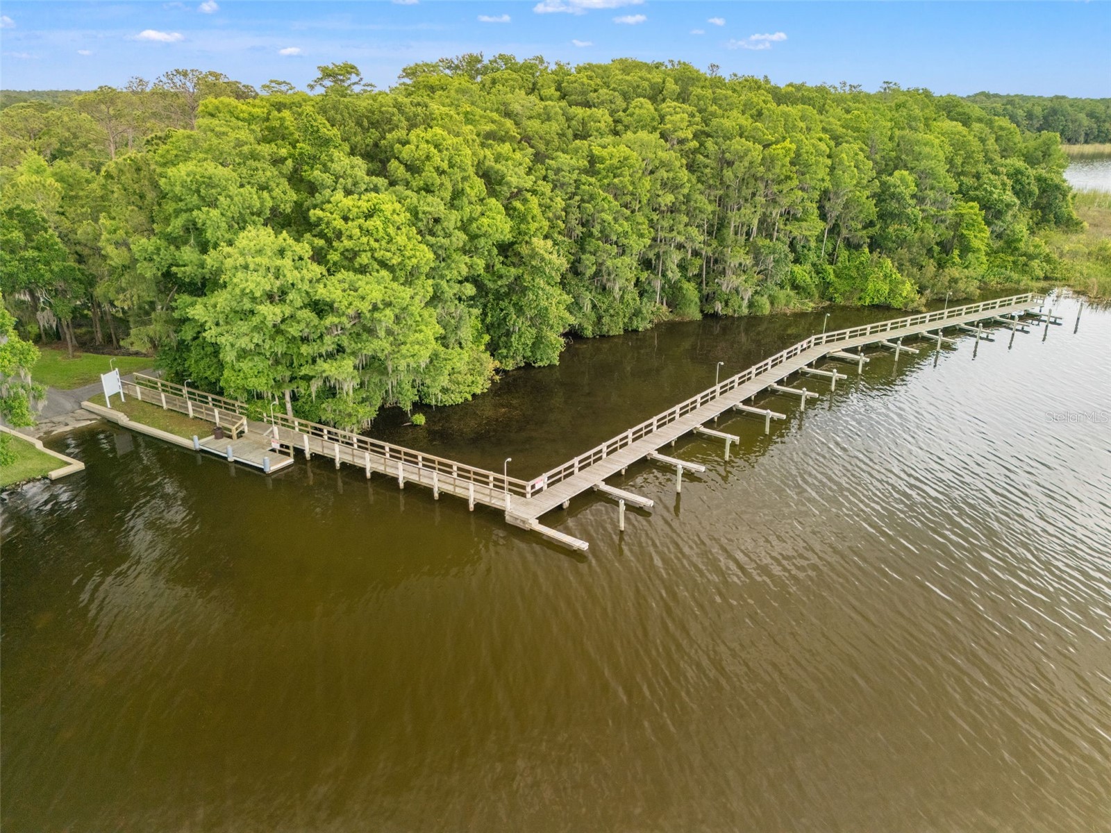 3749 Pendlebury Drive Palm Harbor FL 34685 TB8499308 image42