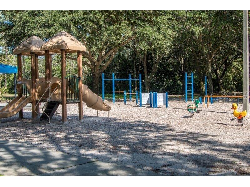 3749 Pendlebury Drive Palm Harbor FL 34685 TB8499308 image43