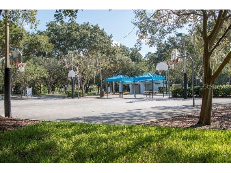3749 Pendlebury Drive Palm Harbor FL 34685 TB8499308 image44