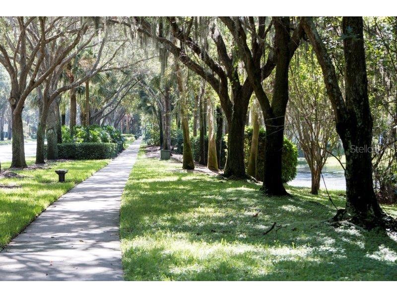 3749 Pendlebury Drive Palm Harbor FL 34685 TB8499308 image45