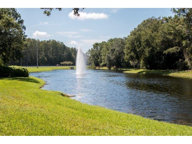 3749 Pendlebury Drive Palm Harbor FL 34685 TB8499308 image46